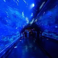 Aquaria Phuket