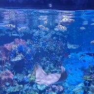 Aquaria Phuket