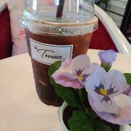 The terrace cafe