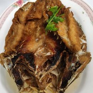 ตุ๊ก โภชนา