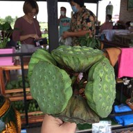 ก๋วยเตี๋ยวเรือบัวนา