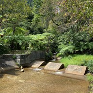 น้ำตกสิริภูมิ