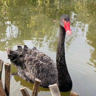 สถานีเกษตรหลวงอินทนนท์