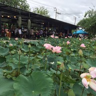 ก๋วยเตี๋ยวเรือบัวนา