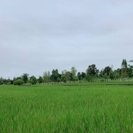 โชคดี คาเฟ่ -