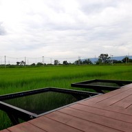 บรรยากาศ ระเบียงนา cafe’@Phukhieo