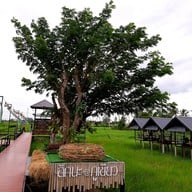 บรรยากาศ ระเบียงนา cafe’@Phukhieo