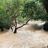 บรรยากาศ Tonnam Cafe Khaoyai