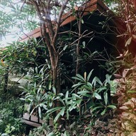 เอกเขนก Cafe'