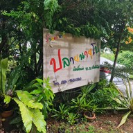 ปลายนายุโป