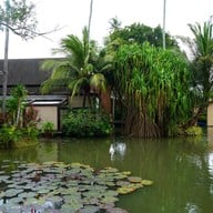 Sea.Fire.Salt ไม้ขาว