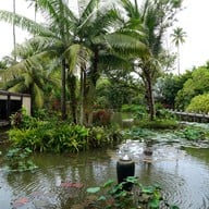 Sea.Fire.Salt ไม้ขาว