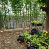 บ้านฉัน 4ภาค