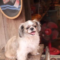 ถนนคนเดินเชียงคาน