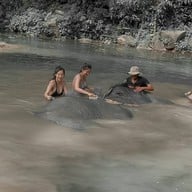 Elephant Jungle Sanctuary Phuket