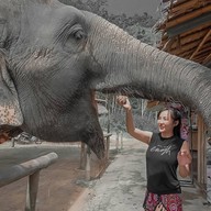 Elephant Jungle Sanctuary Phuket