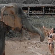 Elephant Jungle Sanctuary Phuket