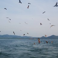 ปลายจันท์ บางชัน