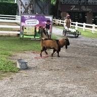 The Scenery Vintage Farm