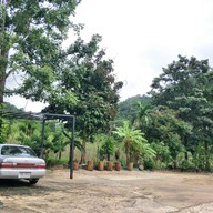 Yumi Resort