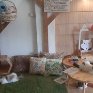 บรรยากาศ Memeow Small Home Big Love