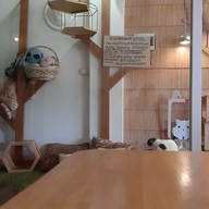 บรรยากาศ Memeow Small Home Big Love