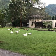 The Scenery Vintage Farm