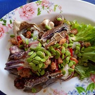 ร้านสารพัดตำเมี่ยงปลาเผาไทนคร ศรีสงคราม