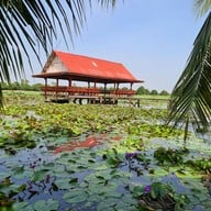 บรรยากาศ นาบัวลุงแจ่ม