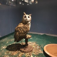 Fukurou Japanese Restaurant - Saraburi สระบุรี