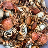 ร้านตำปูแป้นไข่