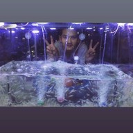 กุ้งโคโยตี้พัทยา