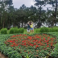 อุทยานแห่งชาติภูเรือ (ภูเรือ)