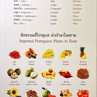พิพิธภัณฑ์บ้านกุฎีจีน