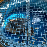 บรรยากาศ บึงฉวาก