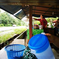 บรรยากาศ มาลัย ไก่ย่างวิเชียรบุรี (คลอง6)