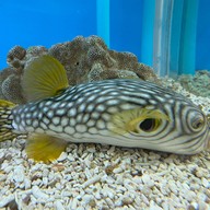 บรรยากาศ บึงฉวาก