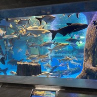 บรรยากาศ บึงฉวาก