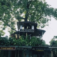 ต้นขนมหวาน สะพานกาแฟ
