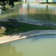 บรรยากาศ บึงฉวาก