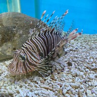 บรรยากาศ บึงฉวาก