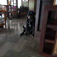 เรนฟอเรสท์ เรนฟอเรสท์รีสอร์ท