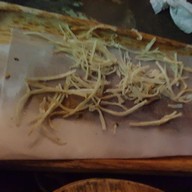 เมนูของร้าน BLOOM URT