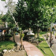 ต้นขนมหวาน สะพานกาแฟ