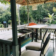 ต้นขนมหวาน สะพานกาแฟ