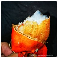 9 กุ้งอบ ปูอบ - Grab Kitchen วิภาวดี 36