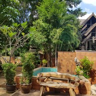 เรนฟอเรสท์ เรนฟอเรสท์รีสอร์ท