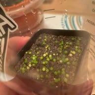 คุกกี้รันแคคตัส / CookieRunCactus Facebook.com/CookieRunCactus