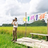 ส้มตำสมัยฉาน