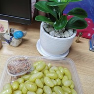 เมนูของร้าน ผลไม้สด Fruity Pat